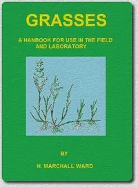 Grasses: A handbook for use in the field and laboratory