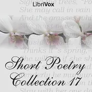 Short Poetry Collection 017
