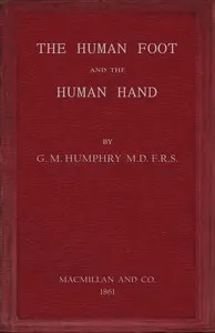 The human foot and the human hand