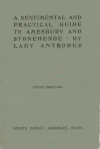 A sentimental & practical guide to Amesbury and Stonehenge