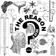 The Reason Why