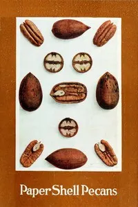 Paper Shell Pecans