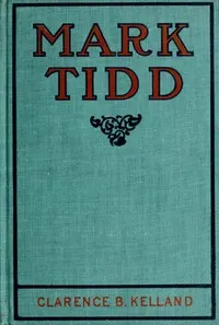 Mark Tidd: His Adventures and Strategies