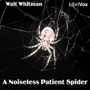 A Noiseless Patient Spider by Walt Whitman