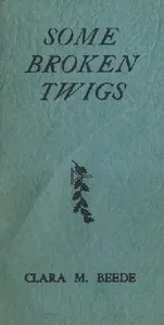Some Broken Twigs