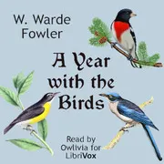 A Year with the Birds