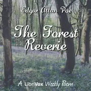 The Forest Reverie